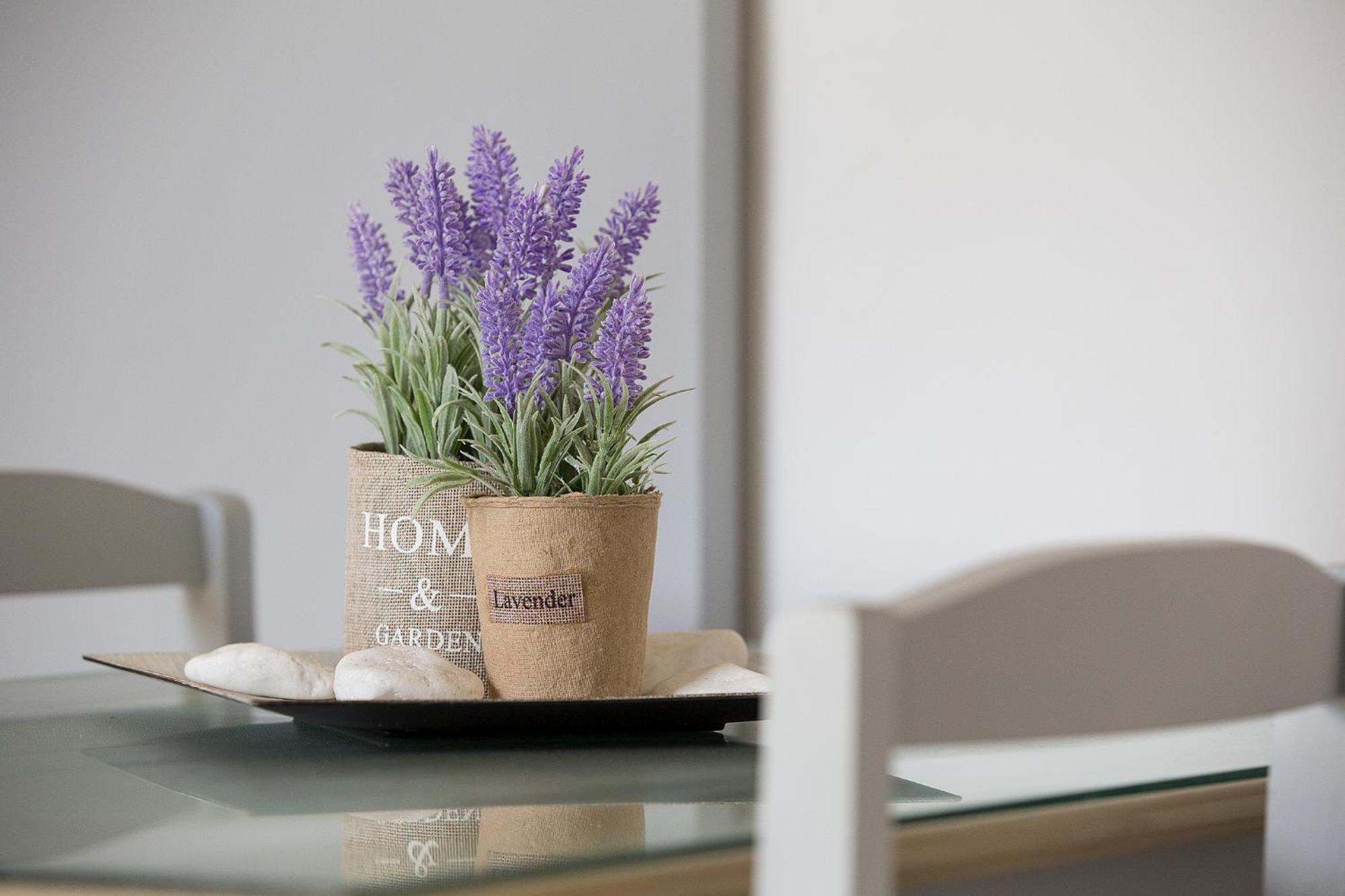 Elleana Corfu Apartment Agios Georgios  Ngoại thất bức ảnh